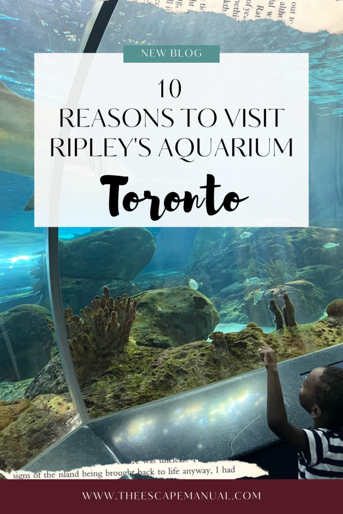 10 reasons to visit Ripley's Aquarium of Canada